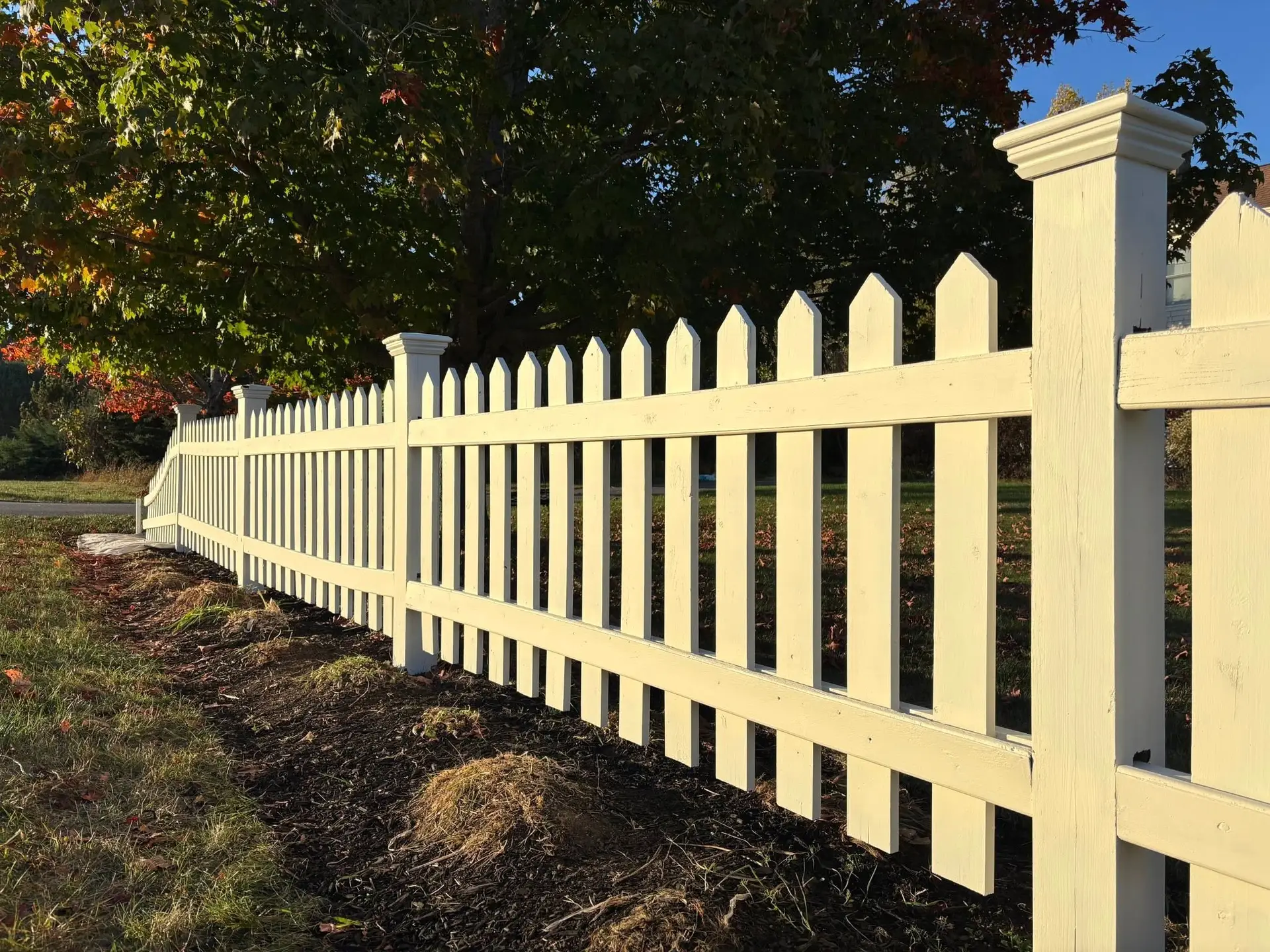 561343065_122176617584550398_7822173712666957568_n